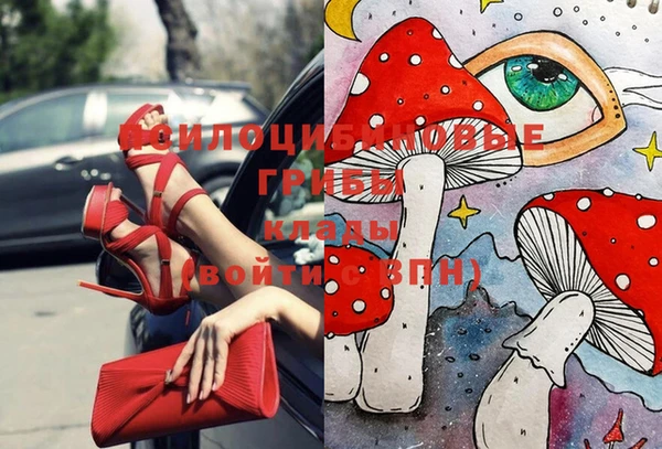 сатива Абинск