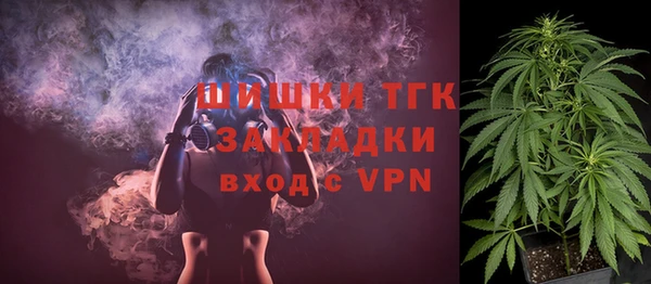 тгк Алексин